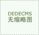 政府网站年度报表